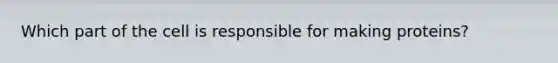 Which part of the cell is responsible for making proteins?
