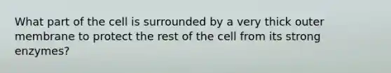 What part of the cell is surrounded by a very thick outer membrane to protect the rest of the cell from its strong enzymes?