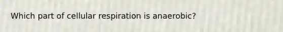 Which part of cellular respiration is anaerobic?