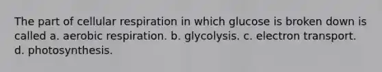 The part of cellular respiration in which glucose is broken down is called a. aerobic respiration. b. glycolysis. c. electron transport. d. photosynthesis.