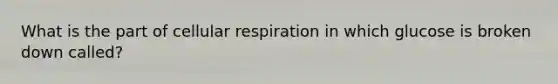 What is the part of cellular respiration in which glucose is broken down called?