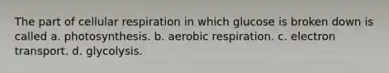 The part of cellular respiration in which glucose is broken down is called a. photosynthesis. b. aerobic respiration. c. electron transport. d. glycolysis.