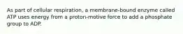 As part of cellular respiration, a membrane-bound enzyme called ATP uses energy from a proton-motive force to add a phosphate group to ADP.