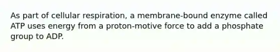 As part of cellular respiration, a membrane-bound enzyme called ATP uses energy from a proton-motive force to add a phosphate group to ADP.