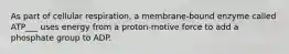 As part of cellular respiration, a membrane-bound enzyme called ATP___ uses energy from a proton-motive force to add a phosphate group to ADP.