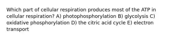 Which part of cellular respiration produces most of the ATP in cellular respiration? A) photophosphorylation B) glycolysis C) oxidative phosphorylation D) the citric acid cycle E) electron transport