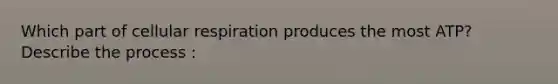 Which part of cellular respiration produces the most ATP? Describe the process :