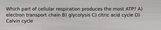 Which part of cellular respiration produces the most ATP? A) electron transport chain B) glycolysis C) citric acid cycle D) Calvin cycle