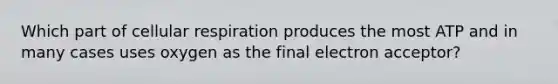 Which part of cellular respiration produces the most ATP and in many cases uses oxygen as the final electron acceptor?