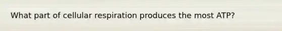 What part of cellular respiration produces the most ATP?