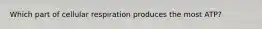 Which part of cellular respiration produces the most ATP?