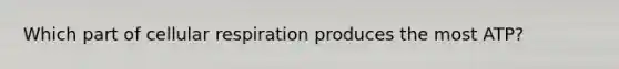 Which part of cellular respiration produces the most ATP?