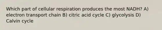 Which part of cellular respiration produces the most NADH? A) electron transport chain B) citric acid cycle C) glycolysis D) Calvin cycle