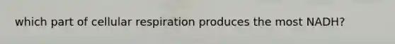 which part of cellular respiration produces the most NADH?
