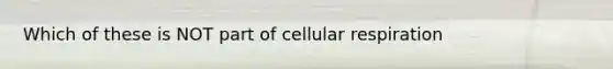 Which of these is NOT part of cellular respiration