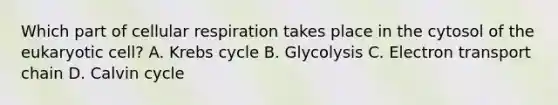 Which part of cellular respiration takes place in the cytosol of the eukaryotic cell? A. Krebs cycle B. Glycolysis C. Electron transport chain D. Calvin cycle