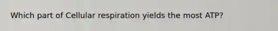 Which part of Cellular respiration yields the most ATP?