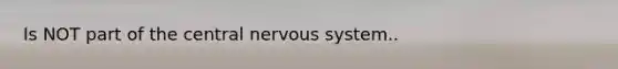 Is NOT part of the central <a href='https://www.questionai.com/knowledge/kThdVqrsqy-nervous-system' class='anchor-knowledge'>nervous system</a>..