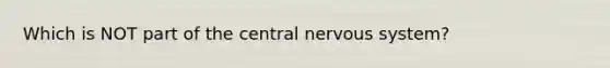 Which is NOT part of the central nervous system?