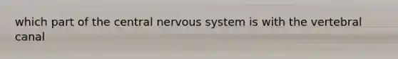 which part of the central nervous system is with the vertebral canal