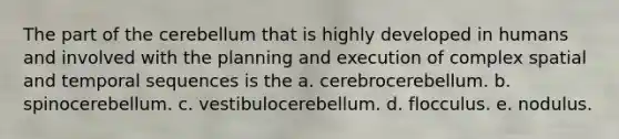 The part of the cerebellum that is highly developed in humans and involved with the planning and execution of complex spatial and temporal sequences is the a. cerebrocerebellum. b. spinocerebellum. c. vestibulocerebellum. d. flocculus. e. nodulus.