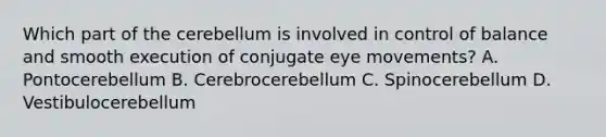 Which part of the cerebellum is involved in control of balance and smooth execution of conjugate eye movements? A. Pontocerebellum B. Cerebrocerebellum C. Spinocerebellum D. Vestibulocerebellum