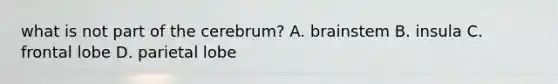 what is not part of the cerebrum? A. brainstem B. insula C. frontal lobe D. parietal lobe