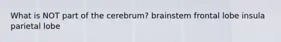 What is NOT part of the cerebrum? brainstem frontal lobe insula parietal lobe