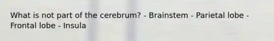 What is not part of the cerebrum? - Brainstem - Parietal lobe - Frontal lobe - Insula