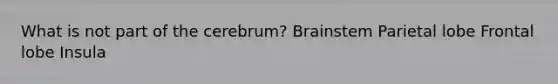 What is not part of the cerebrum? Brainstem Parietal lobe Frontal lobe Insula