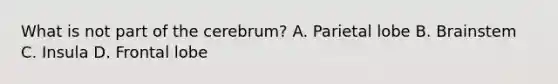 What is not part of the cerebrum? A. Parietal lobe B. Brainstem C. Insula D. Frontal lobe