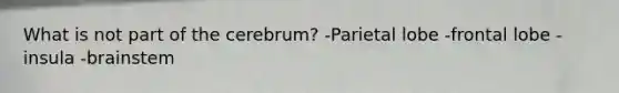 What is not part of the cerebrum? -Parietal lobe -frontal lobe -insula -brainstem