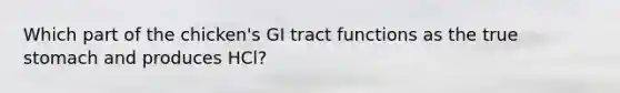 Which part of the chicken's GI tract functions as the true stomach and produces HCl?