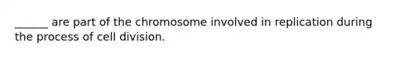 ______ are part of the chromosome involved in replication during the process of cell division.