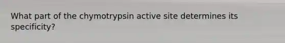 What part of the chymotrypsin active site determines its specificity?