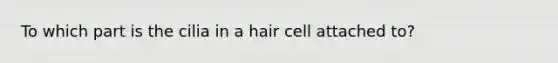 To which part is the cilia in a hair cell attached to?