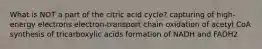 What is NOT a part of the citric acid cycle? capturing of high-energy electrons electron-transport chain oxidation of acetyl CoA synthesis of tricarboxylic acids formation of NADH and FADH2