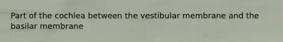 Part of the cochlea between the vestibular membrane and the basilar membrane