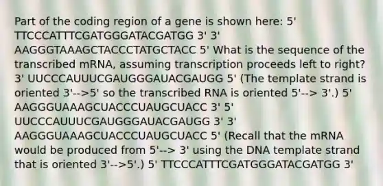 Part of the coding region of a gene is shown here: 5' TTCCCATTTCGATGGGATACGATGG 3' 3' AAGGGTAAAGCTACCCTATGCTACC 5' What is the sequence of the transcribed mRNA, assuming transcription proceeds left to right? 3' UUCCCAUUUCGAUGGGAUACGAUGG 5' (The template strand is oriented 3'-->5' so the transcribed RNA is oriented 5'--> 3'.) 5' AAGGGUAAAGCUACCCUAUGCUACC 3' 5' UUCCCAUUUCGAUGGGAUACGAUGG 3' 3' AAGGGUAAAGCUACCCUAUGCUACC 5' (Recall that the mRNA would be produced from 5'--> 3' using the DNA template strand that is oriented 3'-->5'.) 5' TTCCCATTTCGATGGGATACGATGG 3'