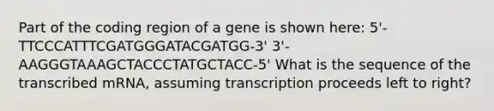 Part of the coding region of a gene is shown here: 5'- TTCCCATTTCGATGGGATACGATGG-3' 3'-AAGGGTAAAGCTACCCTATGCTACC-5' What is the sequence of the transcribed mRNA, assuming transcription proceeds left to right?