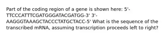 Part of the coding region of a gene is shown here: 5'-TTCCCATTTCGATGGGATACGATGG-3' 3'-AAGGGTAAAGCTACCCTATGCTACC-5' What is the sequence of the transcribed mRNA, assuming transcription proceeds left to right?