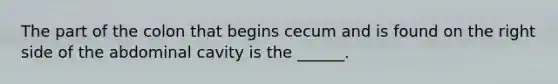 The part of the colon that begins cecum and is found on the right side of the abdominal cavity is the ______.