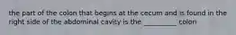 the part of the colon that begins at the cecum and is found in the right side of the abdominal cavity is the __________ colon