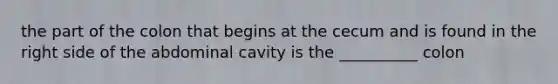 the part of the colon that begins at the cecum and is found in the right side of the abdominal cavity is the __________ colon