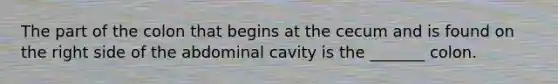 The part of the colon that begins at the cecum and is found on the right side of the abdominal cavity is the _______ colon.
