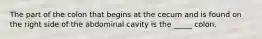 The part of the colon that begins at the cecum and is found on the right side of the abdominal cavity is the _____ colon.