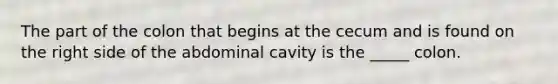 The part of the colon that begins at the cecum and is found on the right side of the abdominal cavity is the _____ colon.