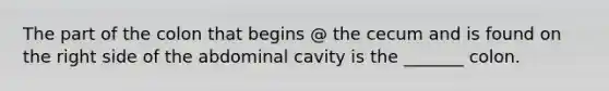 The part of the colon that begins @ the cecum and is found on the right side of the abdominal cavity is the _______ colon.