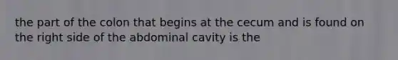 the part of the colon that begins at the cecum and is found on the right side of the abdominal cavity is the