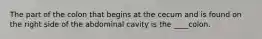 The part of the colon that begins at the cecum and is found on the right side of the abdominal cavity is the ____colon.